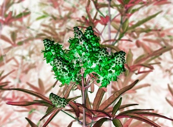 F 040B